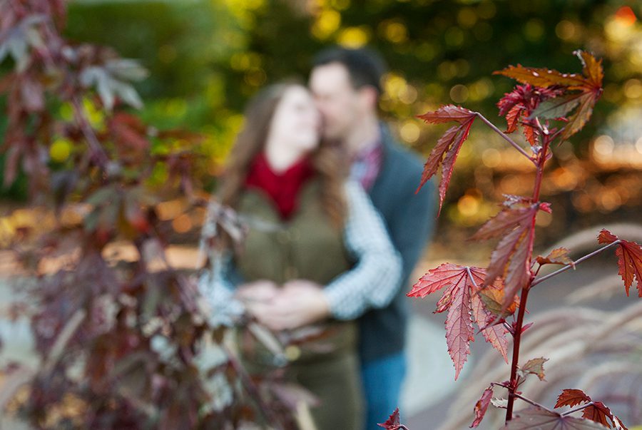 bostonpublicgardenbeaconhillengagementsession004