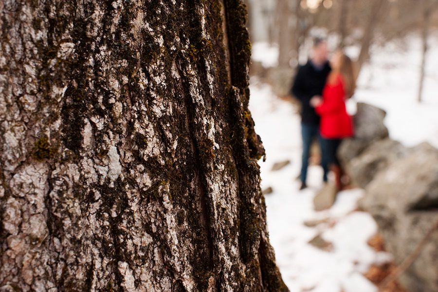 harvardmassachusettsshakervillageengagementsession008